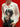 WhatsApp Image 2026-02-26 at 19.18.15.jpeg