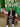 prod_69bcff0ea00630.36978945.jpeg