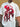 prod_6a4bab10c75506.92838435.jpeg