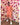 Cordinato casual Rosa Aragosta  con polo bottoni Argento