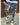 Jeans grigio sfumato  con sfrange bianche stracciato  d835 b