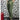 pantalone  vita alta verde militare  zp69-0.jpeg