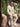 prod_69bd0099173a76.29732497.jpeg