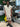 prod_6a39761ed807c4.77704524.jpeg