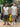 prod_6a397a366328f8.31318628.jpeg
