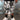 prod_6a47cd6b43e735.51098977.jpeg
