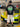 prod_6a4b93ceb43ab0.86586549.jpeg