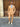 prod_6a687eb7ceee68.83990948.jpeg