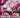 prod_6aa511a5bbf5e8.39376354.jpeg
